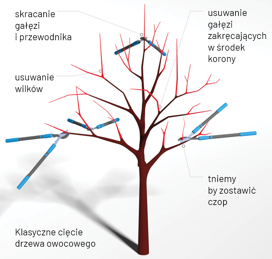 K2000 - Jak prowadzic ekoogród