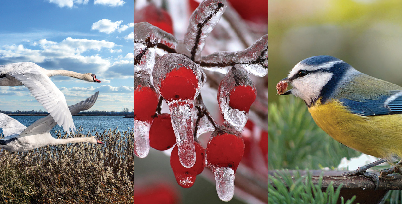 K2000 - Jak prowadzic ekoogród