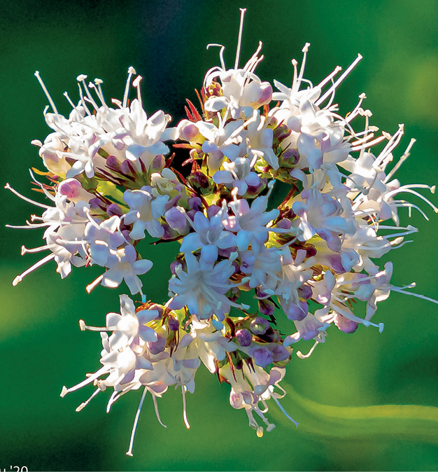 K2000 - Jak prowadzic ekoogród