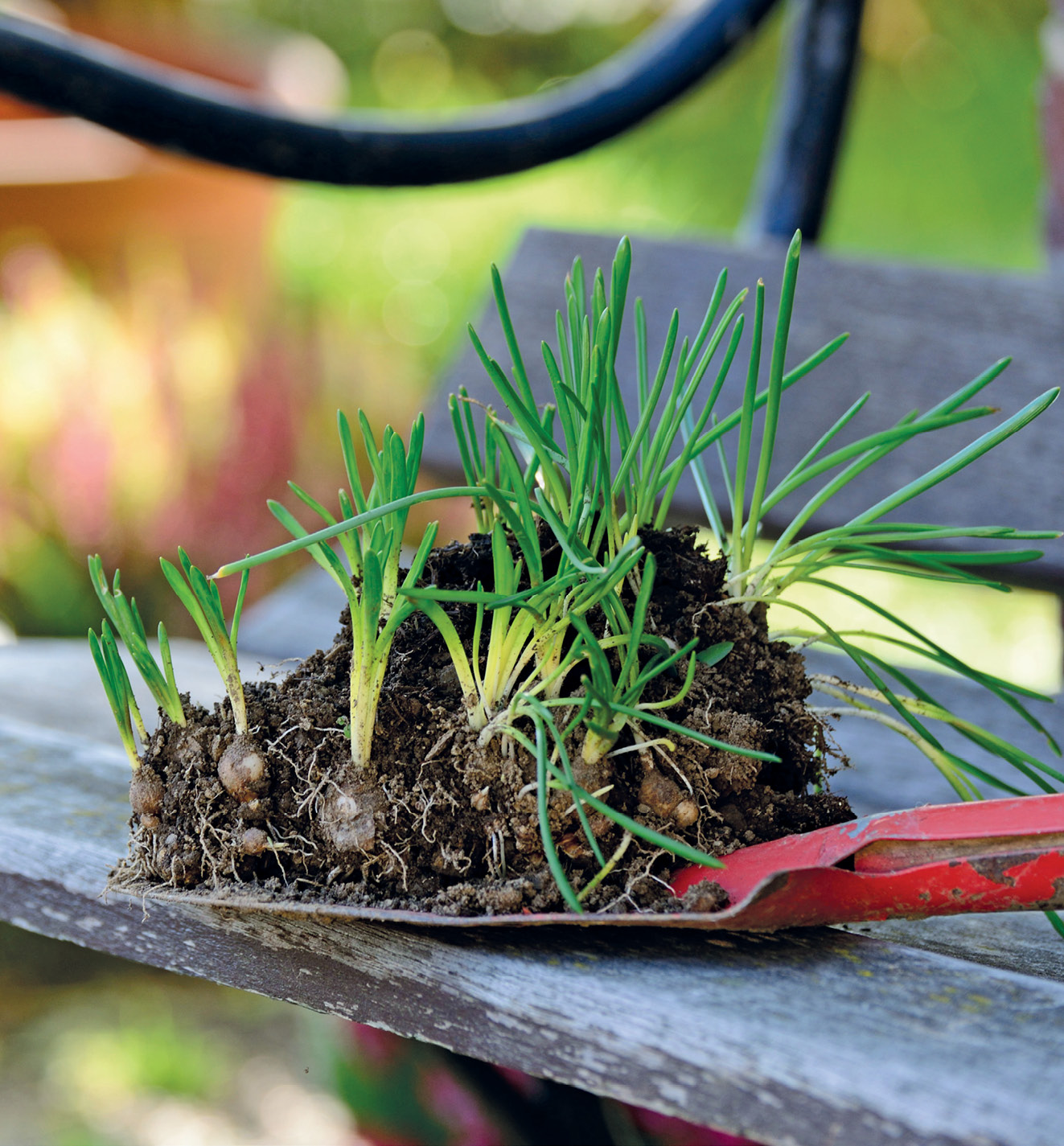 K2000 - Jak prowadzic ekoogród