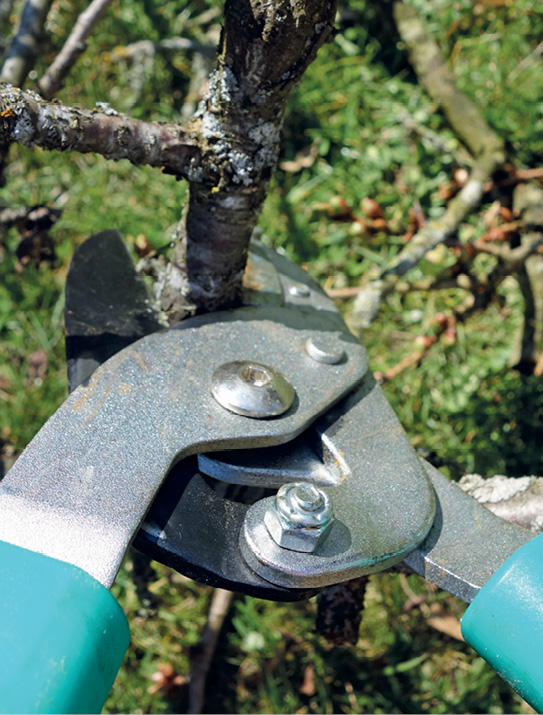 K2000 - Jak prowadzic ekoogród