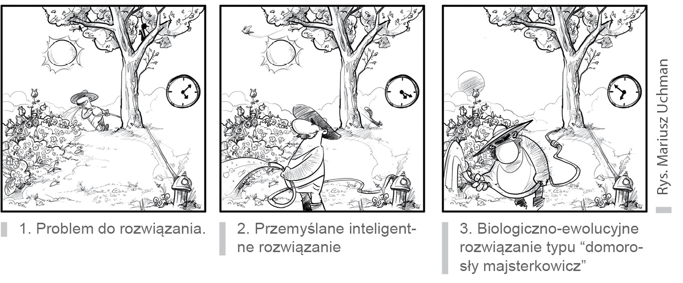 pasieka24.pl - Pszczelarskie fakty i mity