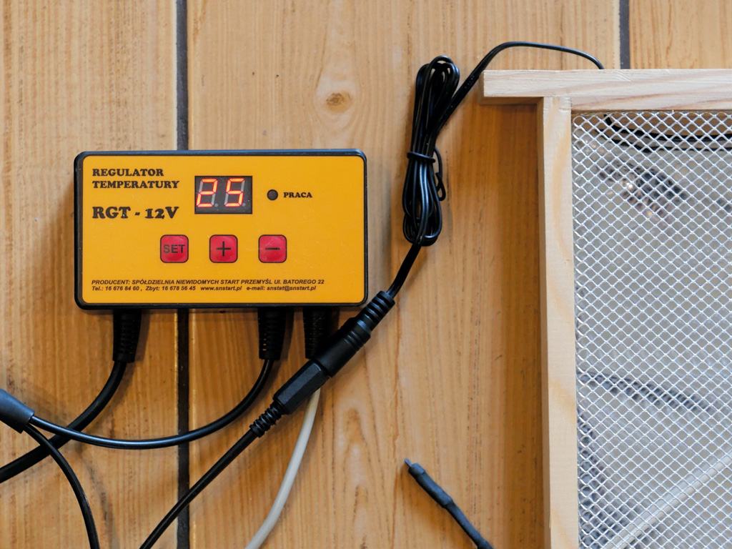 pasieka24.pl - Pszczelarskie fakty i mity