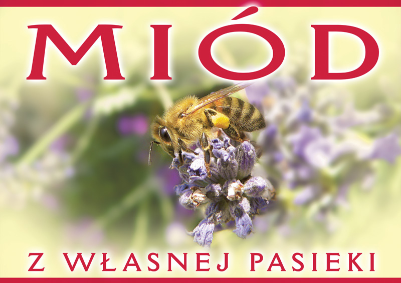 Obraz zawierający tekst, bezkręgowiec, owad, kwiat
Zawartość wygenerowana przez sztuczną inteligencję może być niepoprawna.