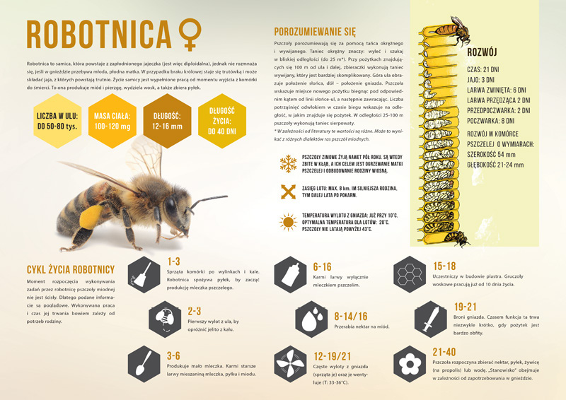 Obraz zawierający tekst, bezkręgowiec, owad, Owad z błoniastymi skrzydłami
Zawartość wygenerowana przez sztuczną inteligencję może być niepoprawna.