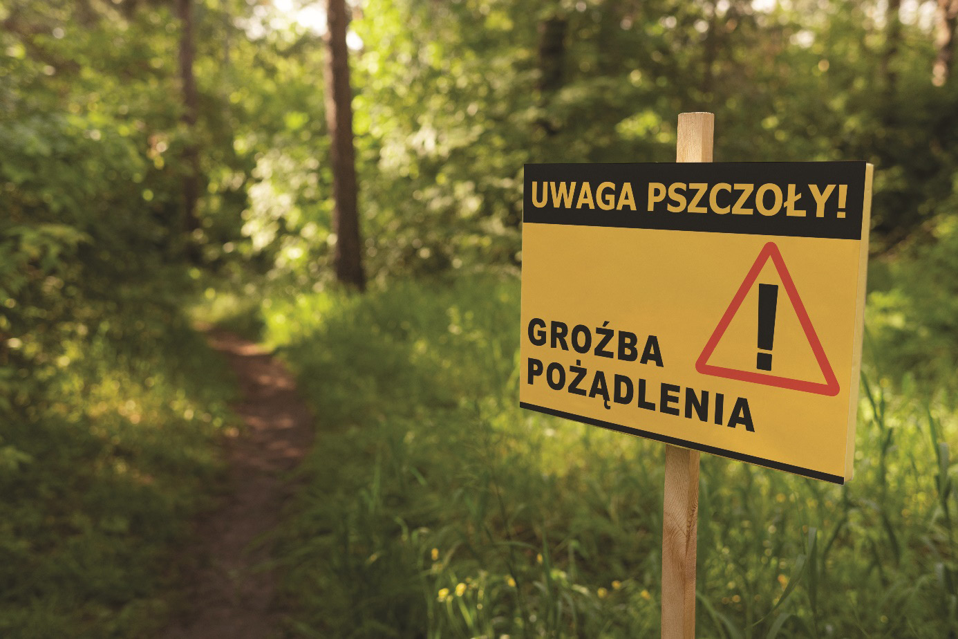 Obraz zawierający na wolnym powietrzu, drzewo, tekst, oznakowanie
Zawartość wygenerowana przez sztuczną inteligencję może być niepoprawna.