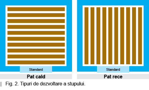 Stupina nr 1/2021(4)
