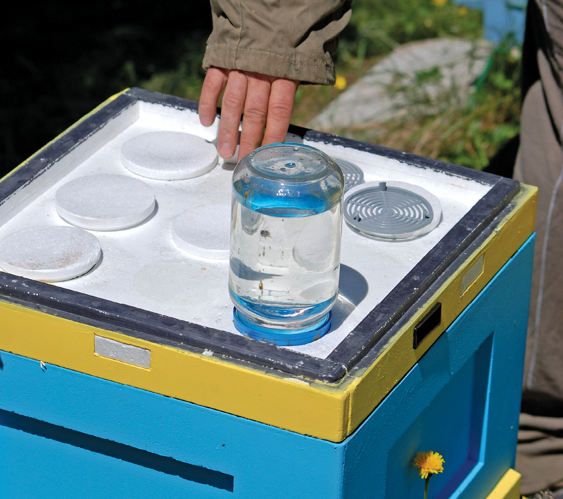 Stupina nr 1/2021(4)