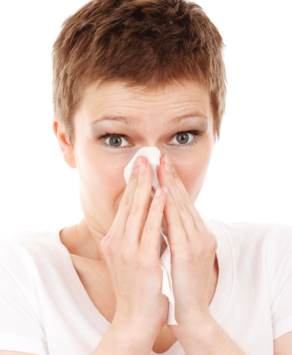 Stupina nr 1/2021(4)