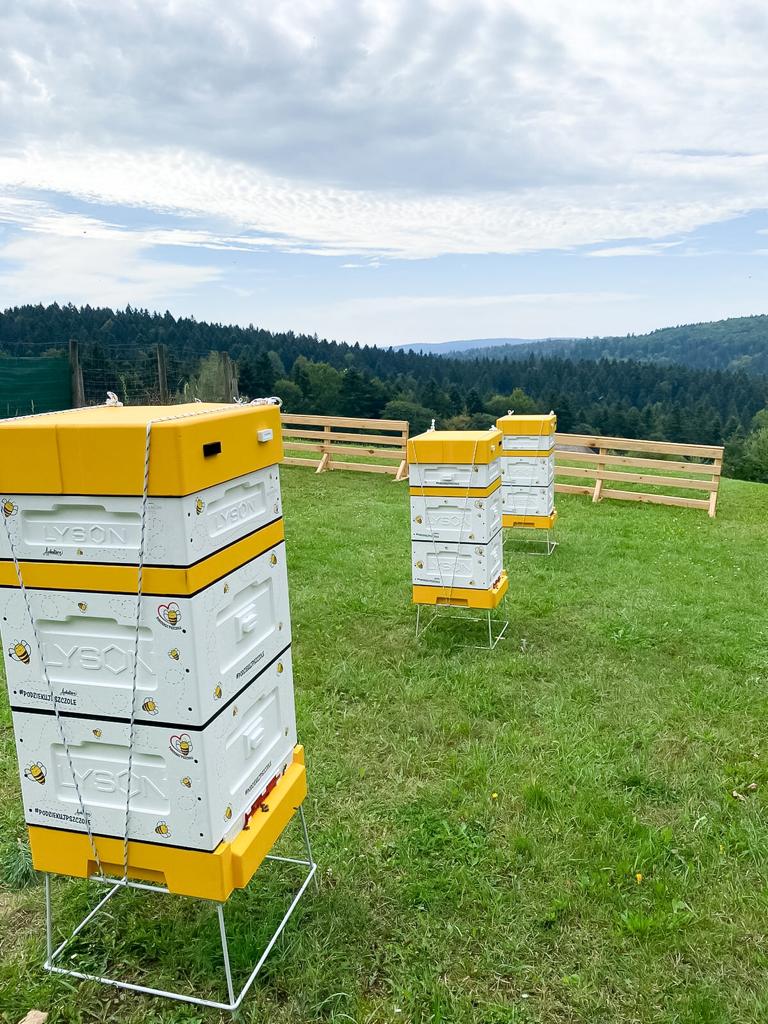 otwarcie pasieki na terenie hotelu Arłamów